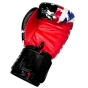 Twins Thai Flag Gloves